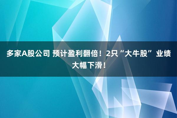 多家A股公司 預計盈利翻倍!2只“大牛股” 業績大幅下滑!