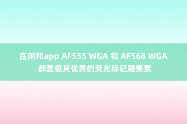 莊閑和app AF555 WGA 和 AF568 WGA 都是極其優(yōu)秀的熒光標(biāo)記凝集素